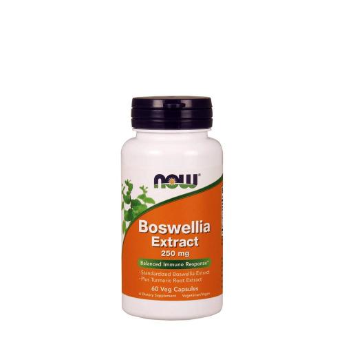 Now Foods Extrakt z boswellie - extrakt z kadidlovníka 250 mg (60 Veg Kapsula)