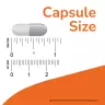 Now Foods Cat's Claw - Mačací pazúr 500 mg (100 Kapsula)