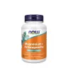 Now Foods Magnesium + Ashwagandha (120 Veg Kapsula)