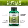Swanson Pestrec mariánsky - Milk Thistle (100 Kapsula)