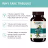 Himalaya Organic Tribulus (60 Kapsula)