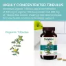 Himalaya Organic Tribulus (60 Kapsula)