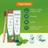 Himalaya Botanique Complete Care Toothpaste (75 ml, Mäta)