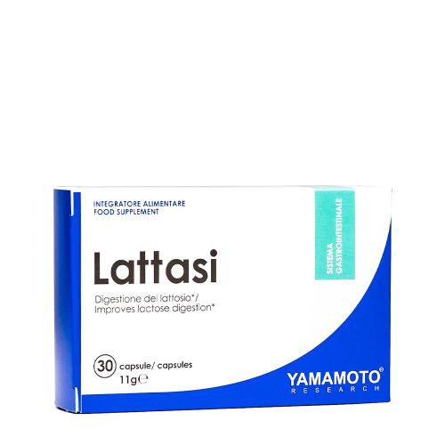 Yamamoto Research Lattasi (30 Kapsula)