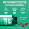 Goli Pre + Post + Probiotics Gummies (60 Gumový cukor)
