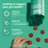 Goli Pre + Post + Probiotics Gummies (60 Gumový cukor)