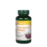Vitaking Milk Thistle extract 500 mg  (80 Kapsula)