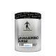 Kevin Levrone Levro Amino Surge Komplexná formula aminokyselín  (500 g, Ananás s čiernymi ríbezľami)