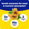 Enzymedica Papaya Complete (120 Tableta, Papája mäta)
