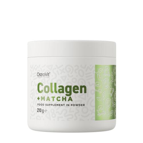 OstroVit Kolagén + Matcha - Collagen + Matcha (210 g)