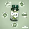 Natures Aid Zelený čaj 10 000 mg (60 Tableta)