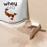 Nutriversum Whey Pro  (1000 g, Pistácie)