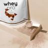 Nutriversum Whey Pro  (1000 g, Malinový jogurt)