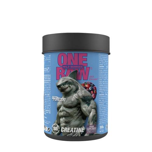 Zoomad Labs ZOOMAD LABS RAW ONE CREATINE ULTRA PURE 200 MESH (300gr, bez príchute) (300 g, Wild Berries)