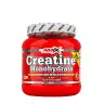 Amix Kreatín monohydrát - Creatine Monohydrate (300 g)