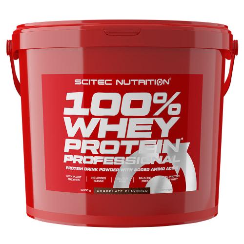 Scitec Nutrition 100% srvátkový proteín Professional - 100% Whey Protein Professional (5000 g, Čokoláda)