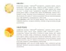Extrifit Regel Gel - Regel Gel (25 x 80 g, Lemon Orange)