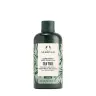 The Body Shop Kondicionér Tea Tree - Tea Tree Conditioner (250 ml)
