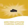 Nature's Way Activated Charcoal (100 Kapsula)