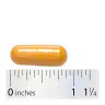 Nature's Way Vitamin B-100 Complex (60 Kapsula)