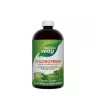 Nature's Way Chlorofresh® Liquid Chlorophyll (480 ml, Mäta)