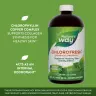 Nature's Way Chlorofresh® Liquid Chlorophyll (480 ml, Mäta)