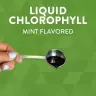 Nature's Way Chlorofresh® Liquid Chlorophyll (480 ml, Mäta)