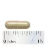 Nature's Way Fenugreek Seed (100 Kapsula)