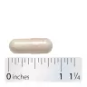 Nature's Way Fortify® Optima® 100 Billion Probiotic (30 Kapsula)