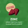 Nature's Way Zinc Gummies (120 Gumový cukor, Zmes lesných plodov)