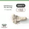 Double Wood Supplements Magnesium L-Threonate (Magtein) (120 Kapsula)