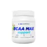 ALLNUTRITION BCAA Max Support (500 g, Jablko)