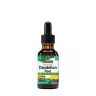 Nature's Answer Dandelion Extract (1 fl. oz.)