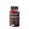 INLEAD Nutrition Shilajit (120 Veg Kapsula)
